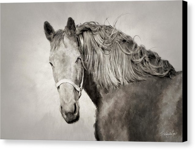 Horse Painting by patricia s farr, westofwinter.com 