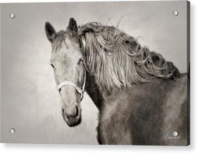 Horse Painting by patricia s farr, westofwinter.com 