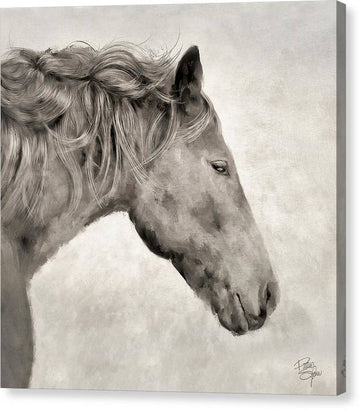 J Horse Square  - Canvas Print