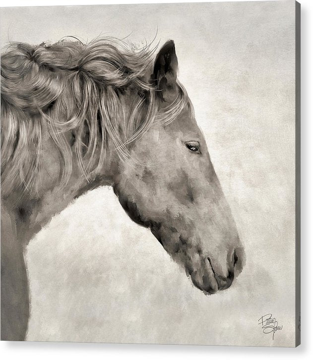 J Horse Square  - Acrylic Print