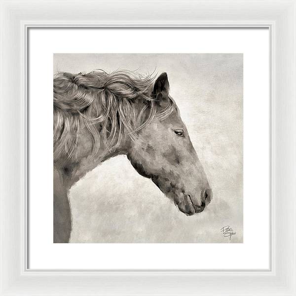 J Horse Square  - Framed Print